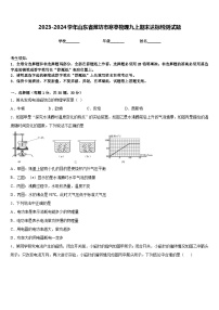 2023-2024学年山东省潍坊市寒亭物理九上期末达标检测试题含答案