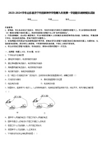 2023-2024学年山东省济宁市田家炳中学物理九年级第一学期期末调研模拟试题含答案