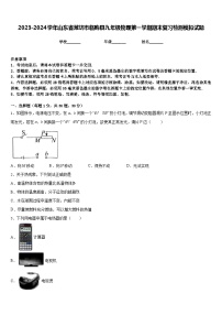 2023-2024学年山东省潍坊市临朐县九年级物理第一学期期末复习检测模拟试题含答案