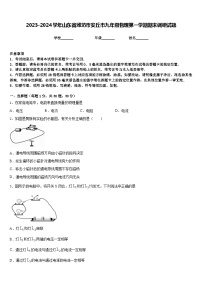 2023-2024学年山东省潍坊市安丘市九年级物理第一学期期末调研试题含答案