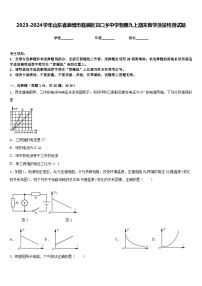 2023-2024学年山东省淄博市临淄区召口乡中学物理九上期末教学质量检测试题含答案