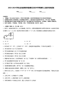 2023-2024学年山东省淄博市临淄区边河乡中学物理九上期末检测试题含答案