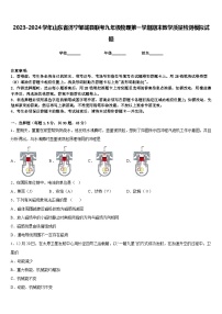 2023-2024学年山东省济宁邹城县联考九年级物理第一学期期末教学质量检测模拟试题含答案