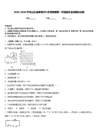 2023-2024学年山东省淄博市九年级物理第一学期期末监测模拟试题含答案