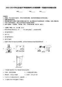 2023-2024学年山东省济宁邹城县联考九年级物理第一学期期末检测模拟试题含答案