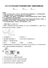 2023-2024学年山东省济宁市任城区物理九年级第一学期期末检测模拟试题含答案