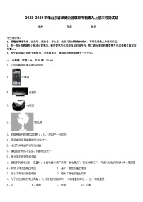 2023-2024学年山东省淄博沂源县联考物理九上期末检测试题含答案