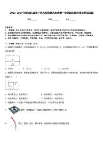 2023-2024学年山东省济宁市名校物理九年级第一学期期末教学质量检测试题含答案