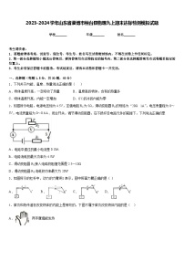 2023-2024学年山东省淄博市桓台县物理九上期末达标检测模拟试题含答案