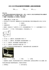 2023-2024学年山东省菏泽市曹县物理九上期末达标检测试题含答案