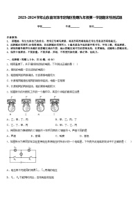 2023-2024学年山东省菏泽市定陶区物理九年级第一学期期末检测试题含答案