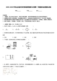 2023-2024学年山东省菏泽市鄄城县物理九年级第一学期期末监测模拟试题含答案