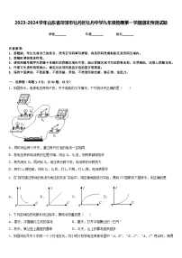 2023-2024学年山东省菏泽市牡丹区牡丹中学九年级物理第一学期期末预测试题含答案