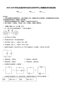 2023-2024学年山东省菏泽市牡丹区王浩屯中学九上物理期末综合测试试题含答案