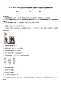 2023-2024学年山东省菏泽市物理九年级第一学期期末监测模拟试题含答案