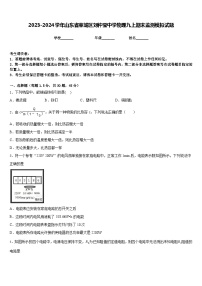 2023-2024学年山东省莱城区刘仲莹中学物理九上期末监测模拟试题含答案