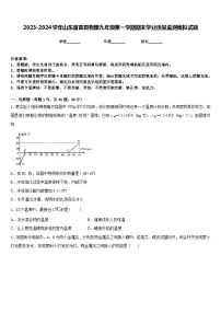 2023-2024学年山东省莒县物理九年级第一学期期末学业质量监测模拟试题含答案