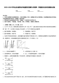 2023-2024学年山东省青岛市局属四校物理九年级第一学期期末达标检测模拟试题含答案