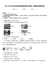 2023-2024学年山东省菏泽郓城县联考物理九年级第一学期期末监测模拟试题含答案