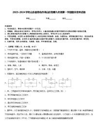 2023-2024学年山东省青岛市崂山区物理九年级第一学期期末统考试题含答案