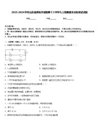 2023-2024学年山东省青岛市城阳第十三中学九上物理期末达标测试试题含答案