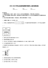 2023-2024学年山东省青岛即墨市物理九上期末调研试题含答案