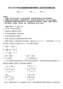 2023-2024学年山东省聊城阳谷县联考物理九上期末综合测试模拟试题含答案