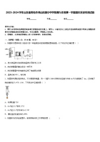 2023-2024学年山东省青岛市崂山区部分中学物理九年级第一学期期末质量检测试题含答案