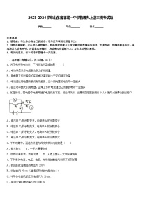 2023-2024学年山东省郓城一中学物理九上期末统考试题含答案