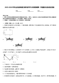 2023-2024学年山东省莱城区刘仲莹中学九年级物理第一学期期末达标测试试题含答案