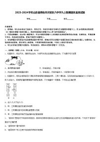 2023-2024学年山东省青岛市开发区八中学九上物理期末监测试题含答案