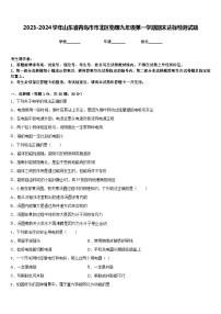 2023-2024学年山东省青岛市市北区物理九年级第一学期期末达标检测试题含答案