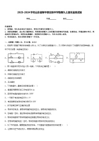 2023-2024学年山东省邹平县实验中学物理九上期末监测试题含答案