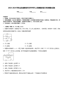 2023-2024学年山东省聊城市文轩中学九上物理期末复习检测模拟试题含答案