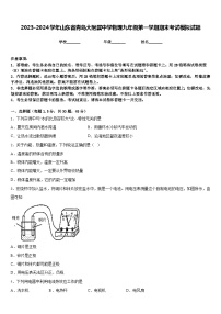 2023-2024学年山东省青岛大附属中学物理九年级第一学期期末考试模拟试题含答案