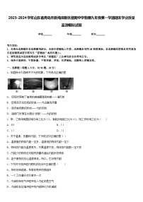 2023-2024学年山东省青岛市新海岸新区信阳中学物理九年级第一学期期末学业质量监测模拟试题含答案