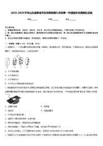 2023-2024学年山东省聊城市东阿县物理九年级第一学期期末经典模拟试题含答案