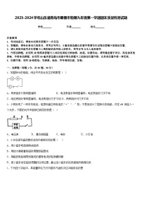 2023-2024学年山东省青岛市即墨市物理九年级第一学期期末质量检测试题含答案