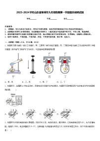 2023-2024学年山东省莱州市九年级物理第一学期期末调研试题含答案