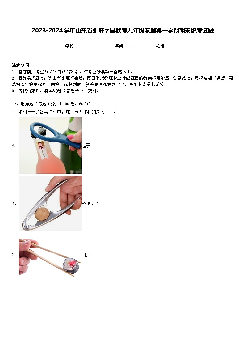 2023-2024学年山东省聊城莘县联考九年级物理第一学期期末统考试题含答案01