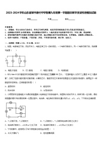 2023-2024学年山东省邹平唐村中学物理九年级第一学期期末教学质量检测模拟试题含答案