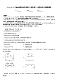2023-2024学年山东省青岛市崂山三中学物理九上期末达标检测模拟试题含答案