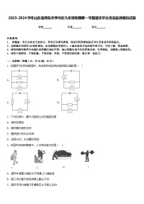 2023-2024学年山东省青岛市李沧区九年级物理第一学期期末学业质量监测模拟试题含答案