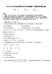 2023-2024学年山东省青岛市名校九年级物理第一学期期末联考模拟试题含答案