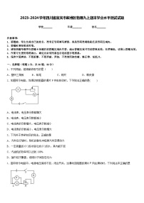 2023-2024学年四川省宜宾市叙州区物理九上期末学业水平测试试题含答案