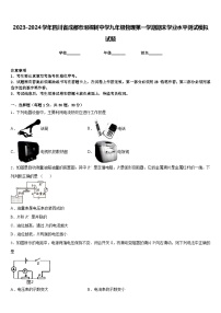 2023-2024学年四川省成都市泡桐树中学九年级物理第一学期期末学业水平测试模拟试题含答案