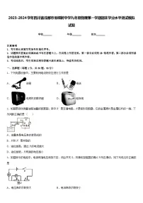 2023-2024学年四川省成都市泡桐树中学九年级物理第一学期期末学业水平测试模拟试题含答案