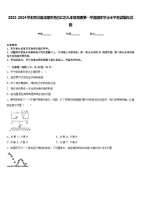 2023-2024学年四川省成都市青白江区九年级物理第一学期期末学业水平测试模拟试题含答案