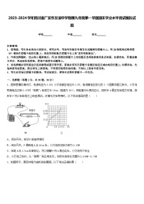 2023-2024学年四川省广安市友谊中学物理九年级第一学期期末学业水平测试模拟试题含答案