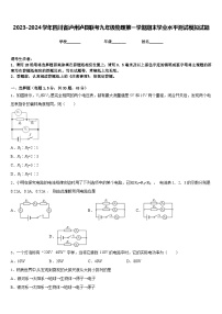 2023-2024学年四川省泸州泸县联考九年级物理第一学期期末学业水平测试模拟试题含答案